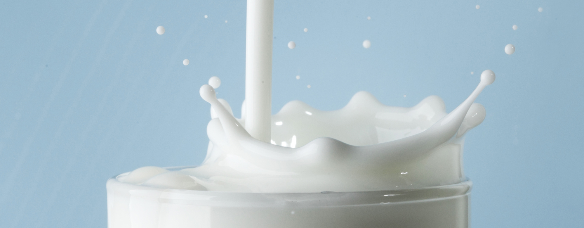 Fresh milk banner